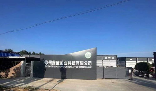 喜賀德州鑫盛鹿茸菇廠批量租賃10臺ID.4 Crozz，綠色出行助力企業發展